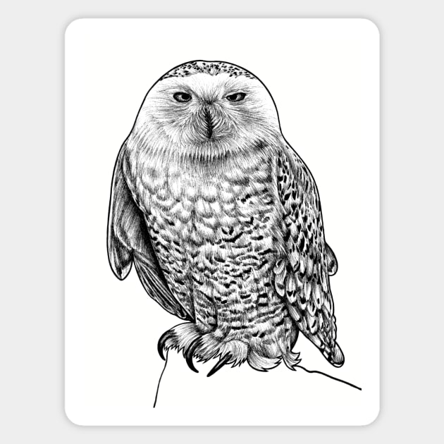 Snowy owl illustration Magnet by lorendowding